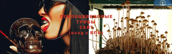 молекула духа Волосово